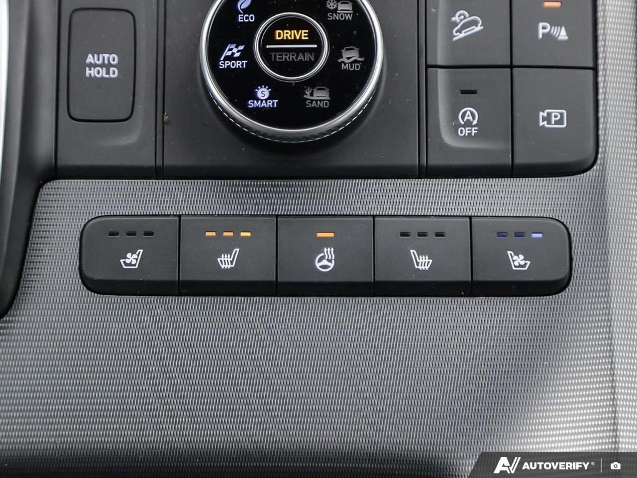 2024 Hyundai PALISADE Ultimate Calligraphy 4dr All-Wheel Drive Photo