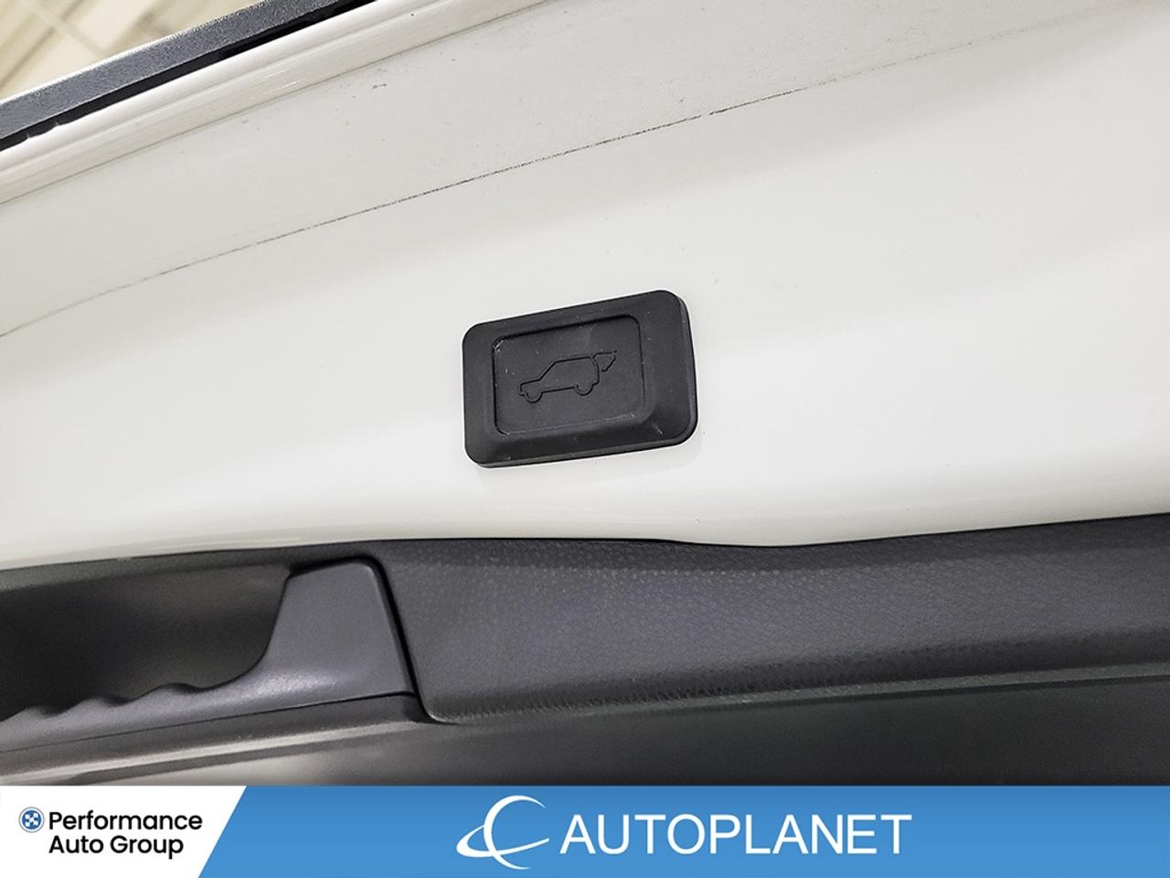 2024 Toyota RAV4 XLE AWD -  FINANCE @$116/WK OR LEASE @$144/WK Photo