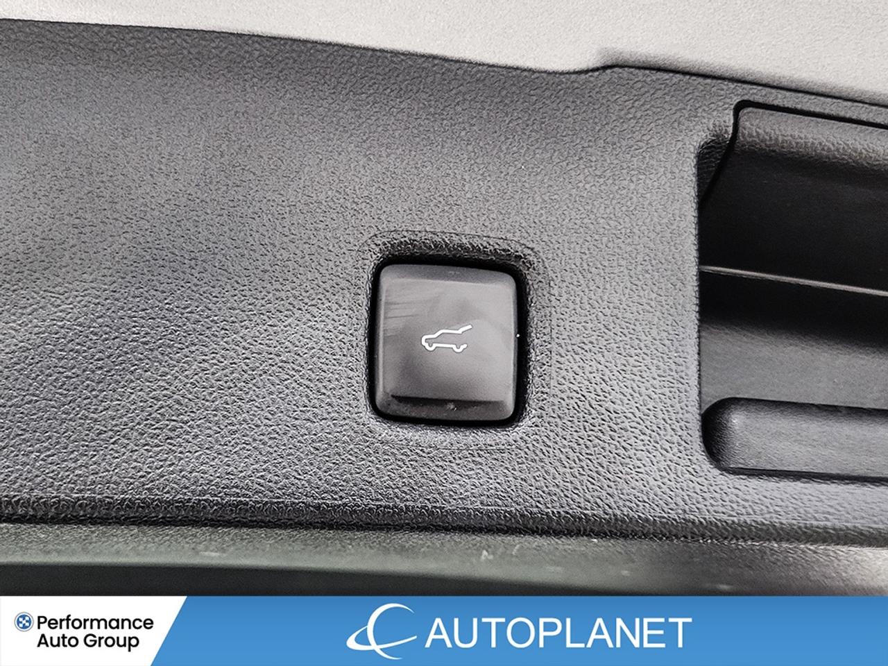 2024 Ford Escape Plug-In Hybrid -FINANCE @$84/WK OR LEASE @$98/WK Photo