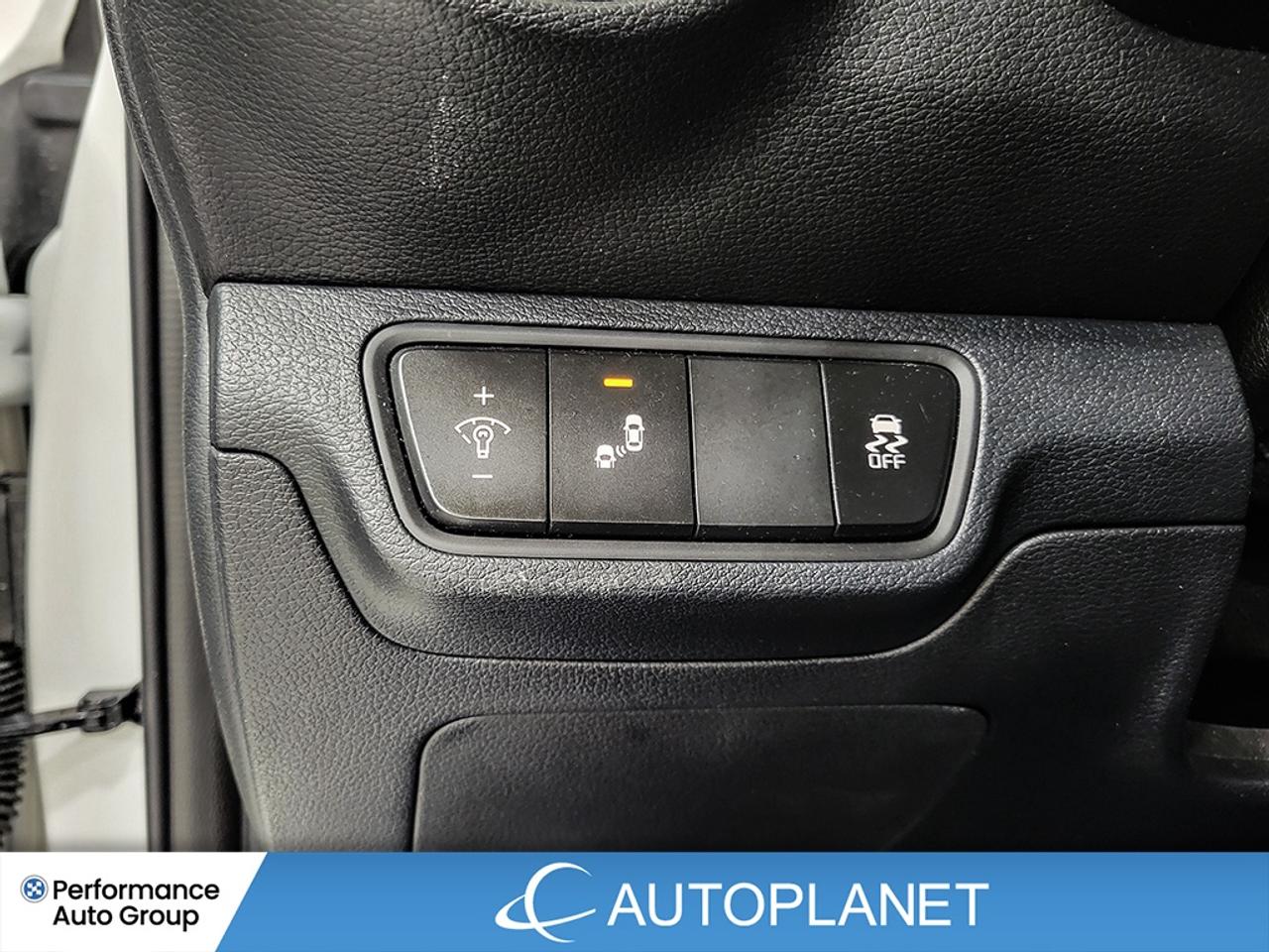 2024 Kia Forte EX - FINANCE @$61/WK OR LEASE @$76/WK Photo