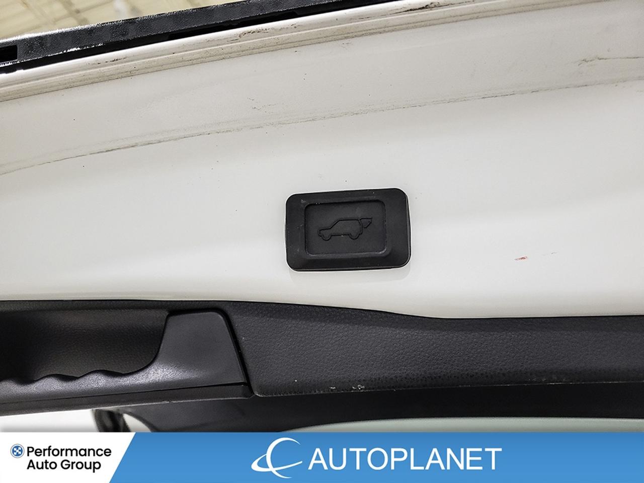 2024 Toyota RAV4 XLE AWD - FINANCE @$113/WK OR LEASE @$142/WK Photo