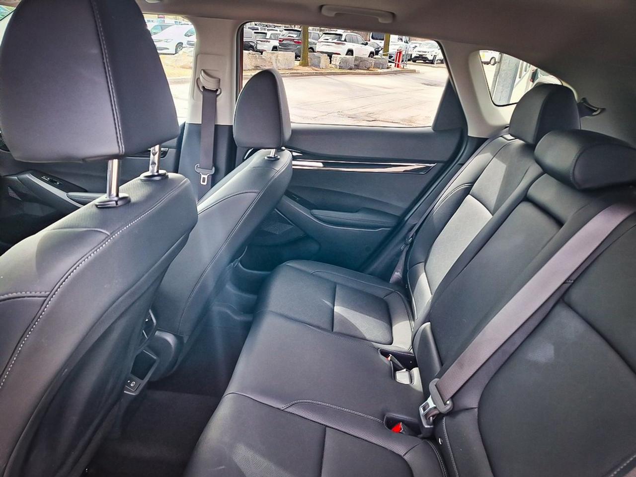 2024 Kia Seltos  Photo