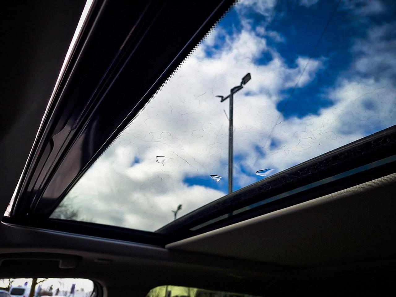 2024 Nissan Rogue  Photo