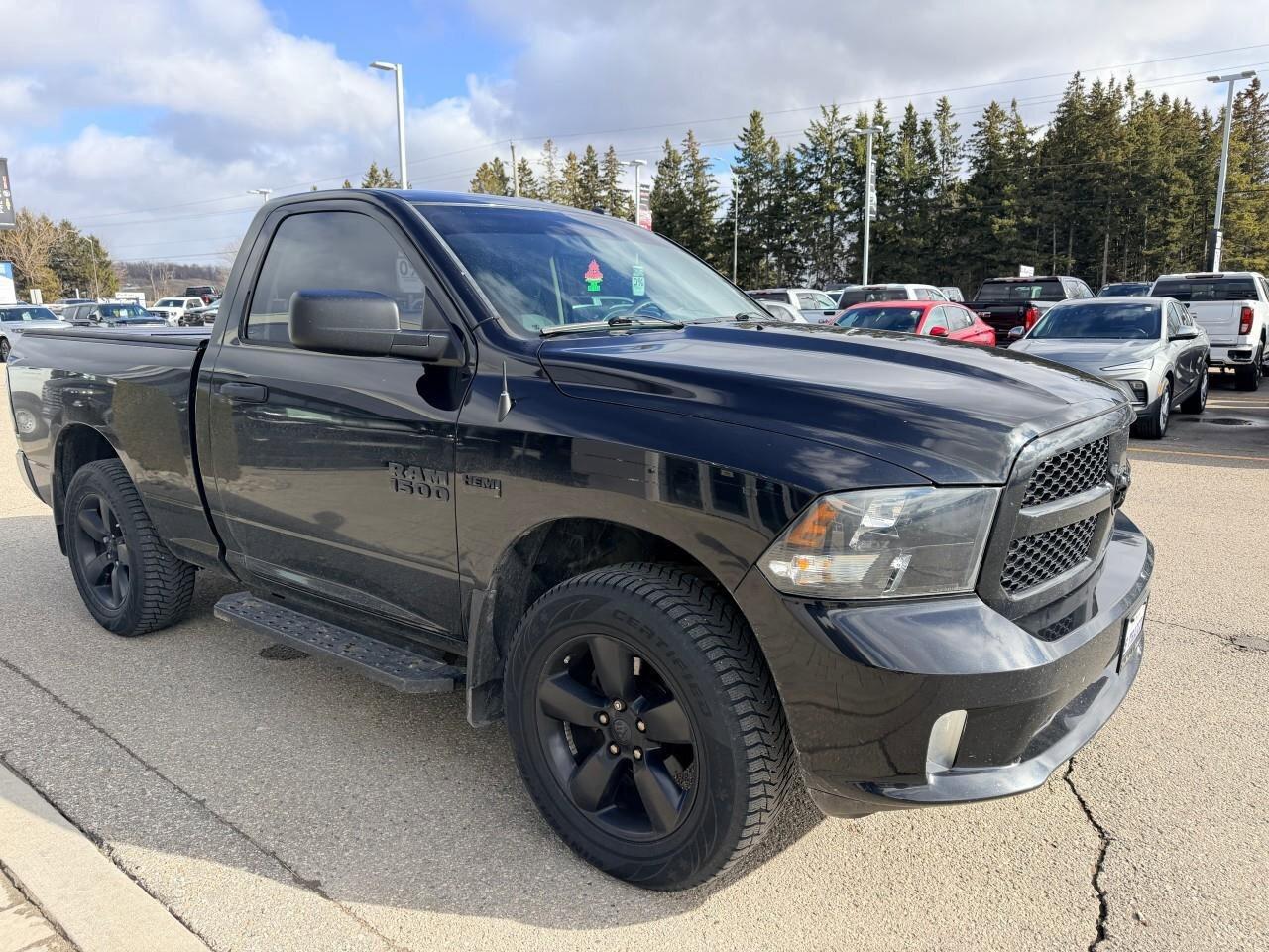 2016 RAM 1500 4WD Reg Cab 120.5  Express Photo