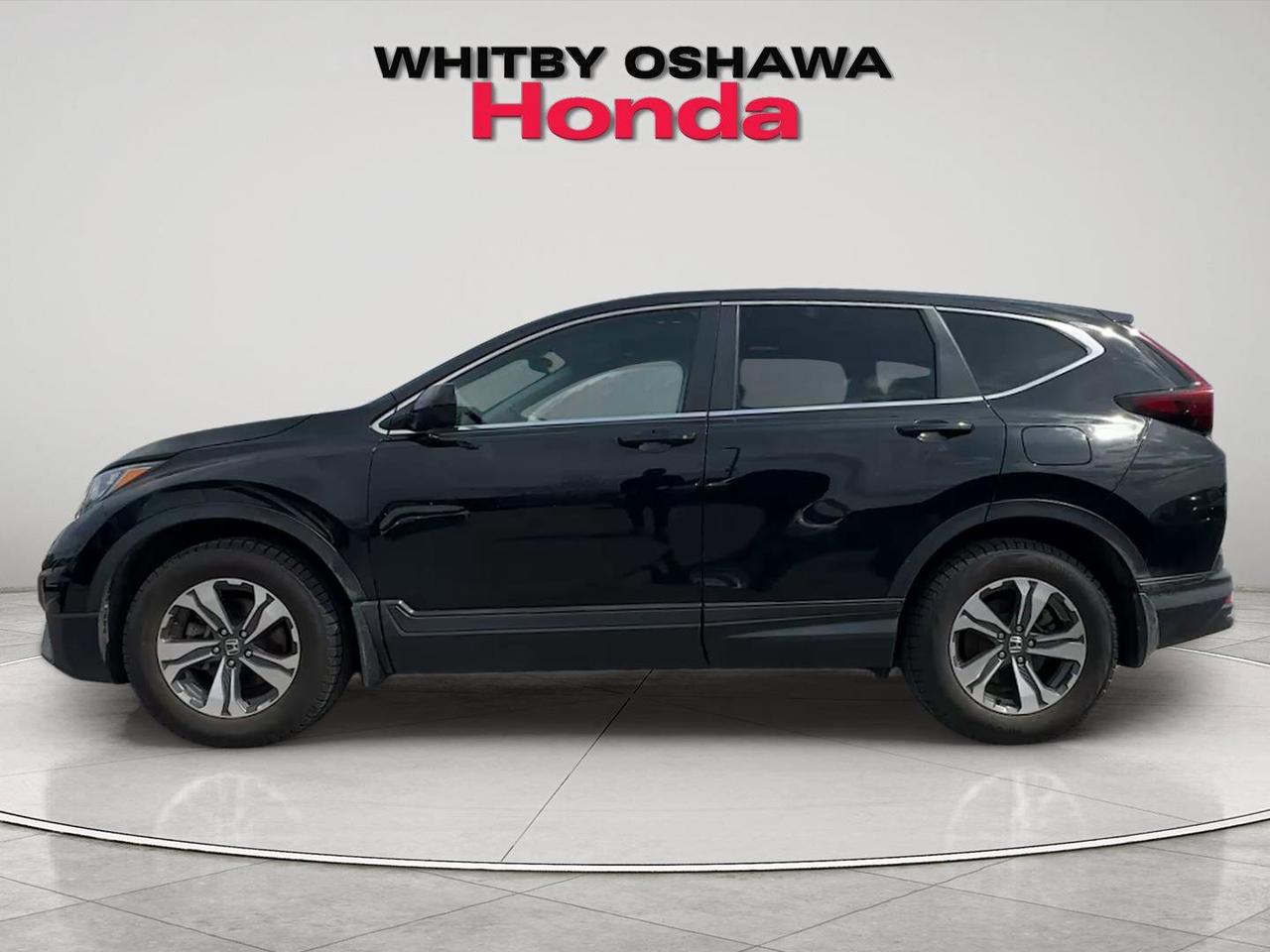 2022 Honda CR-V LX Photo