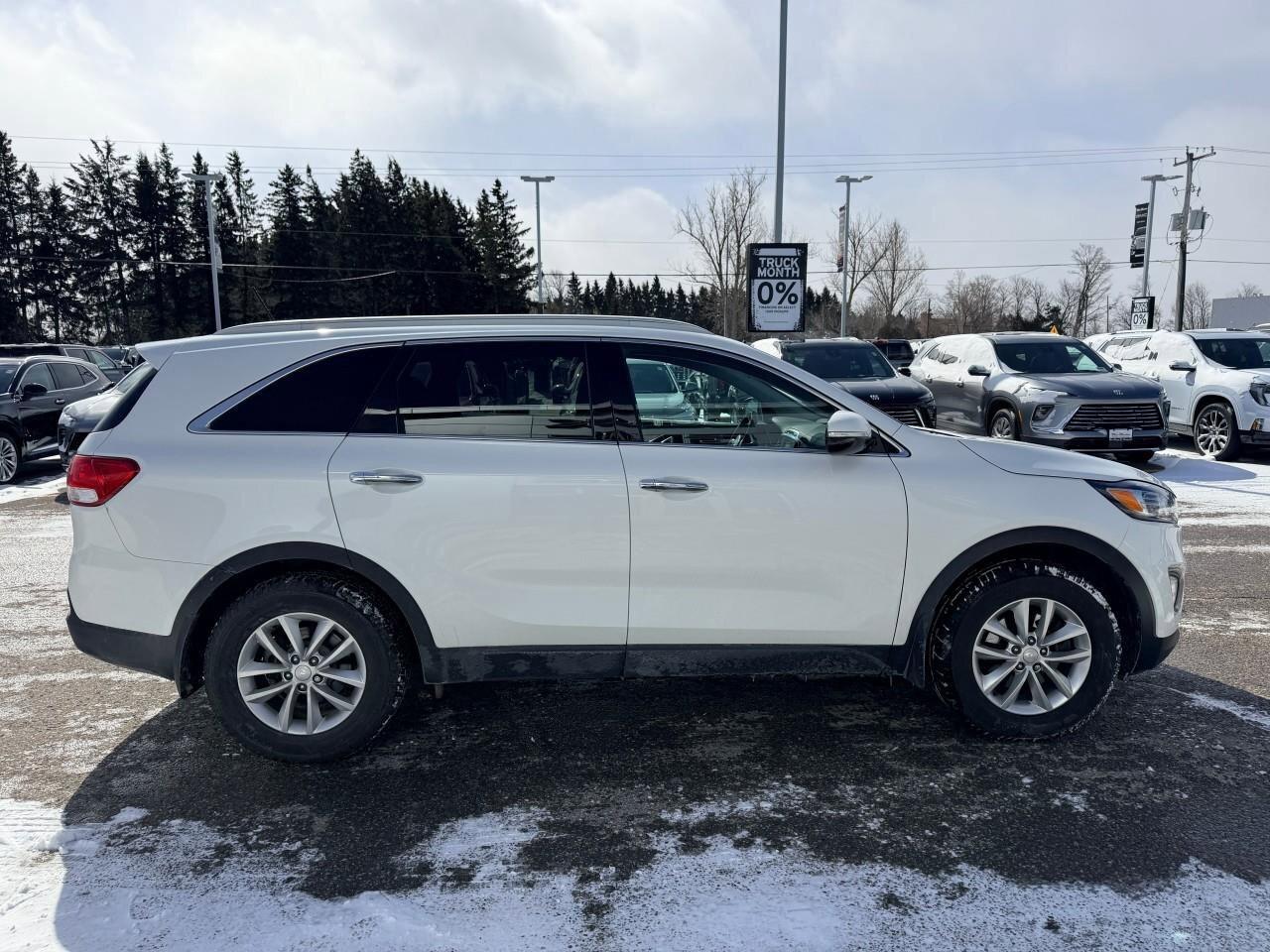 2018 Kia Sorento  Photo