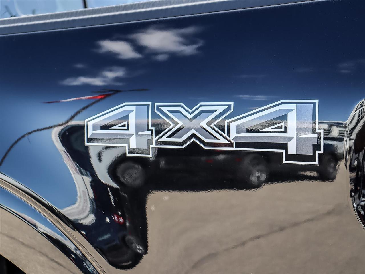 2026 Ford F-150 XLT Photo
