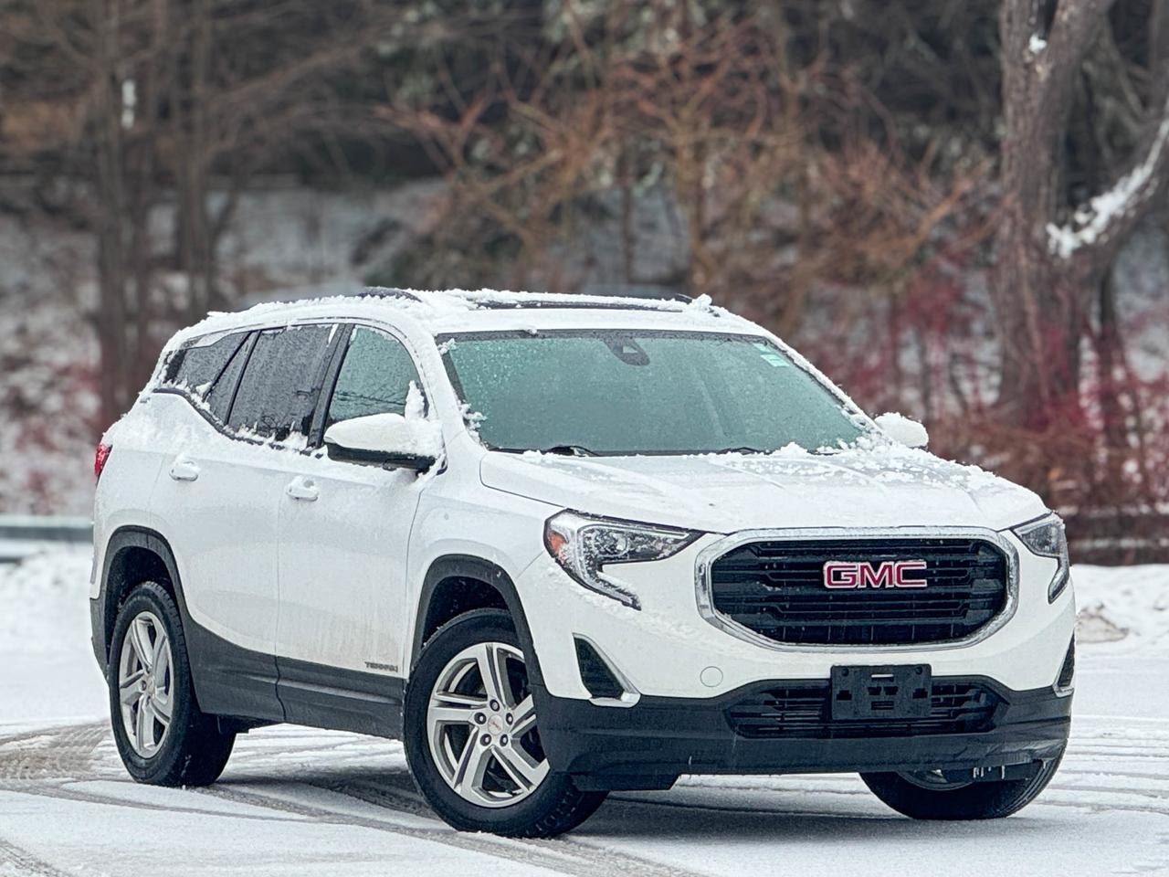 2020 GMC Terrain SLE Photo