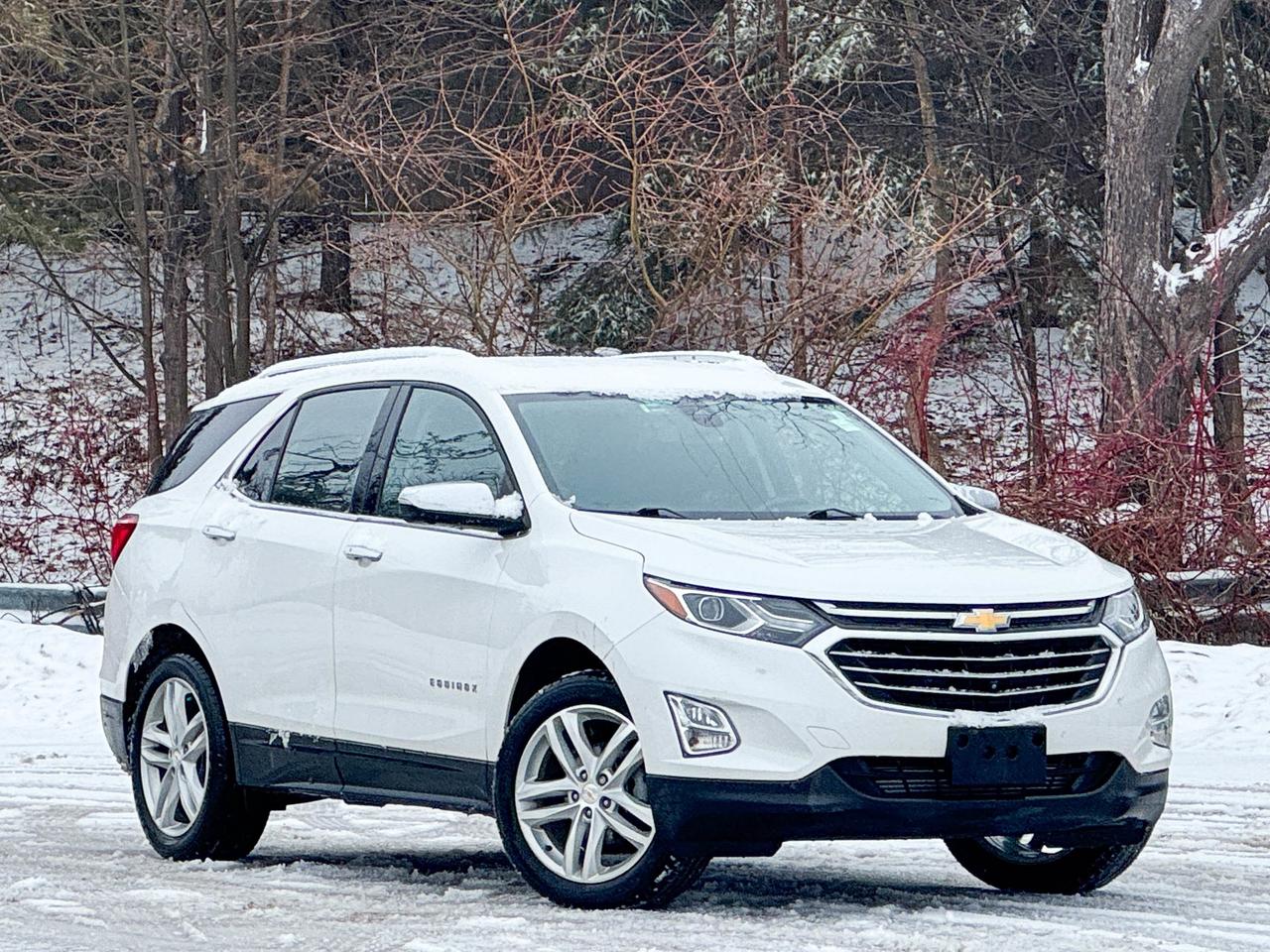2019 Chevrolet Equinox Premier Photo