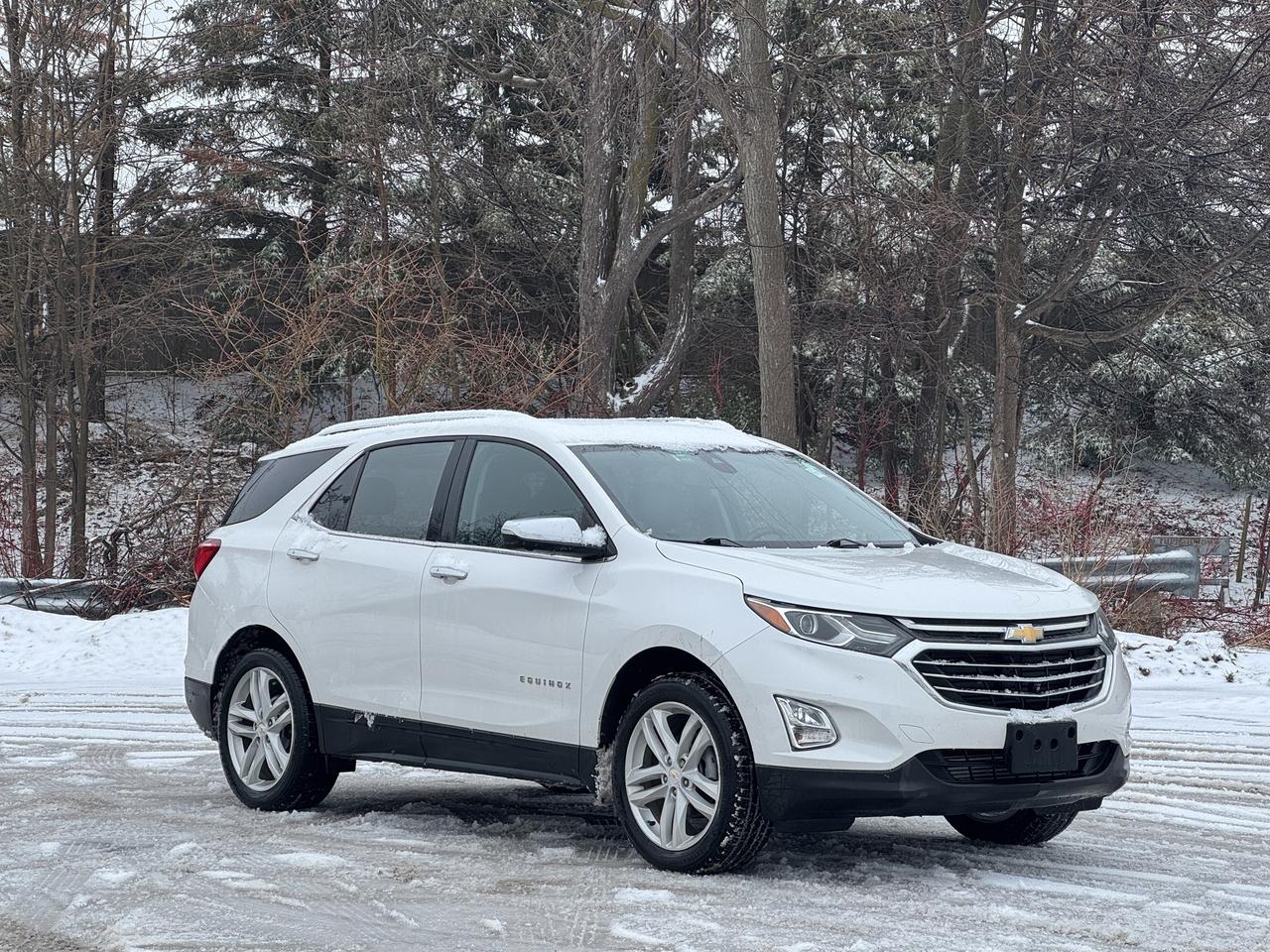 2019 Chevrolet Equinox Premier Photo