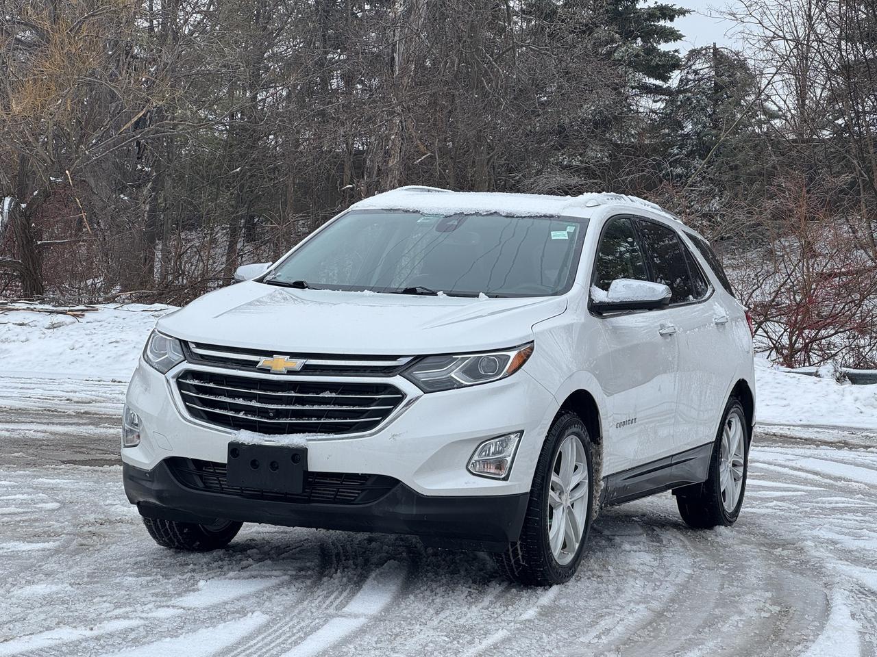 2019 Chevrolet Equinox Premier Photo