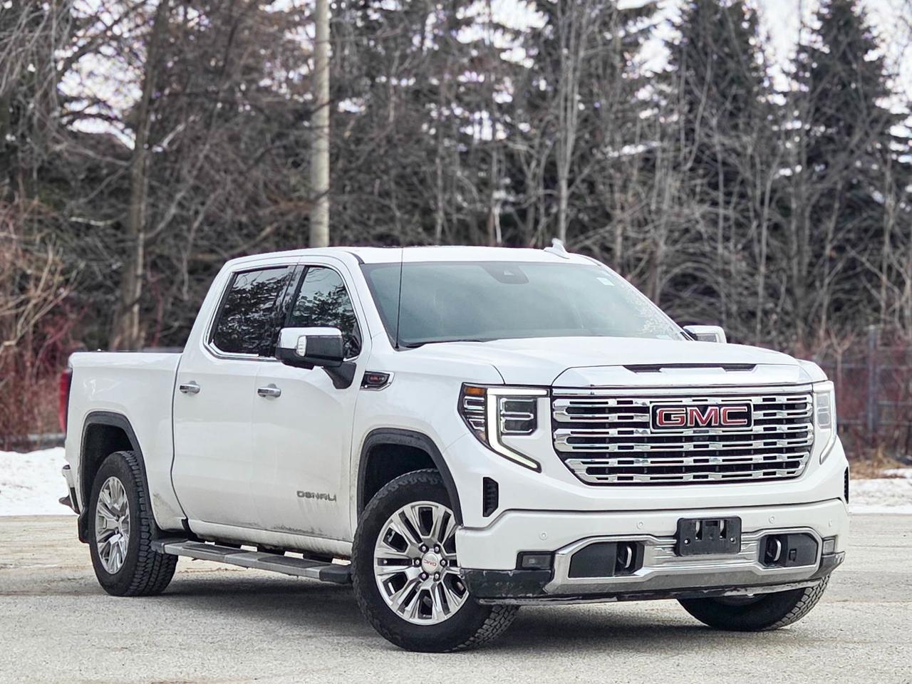 2023 GMC Sierra 1500 Denali Photo