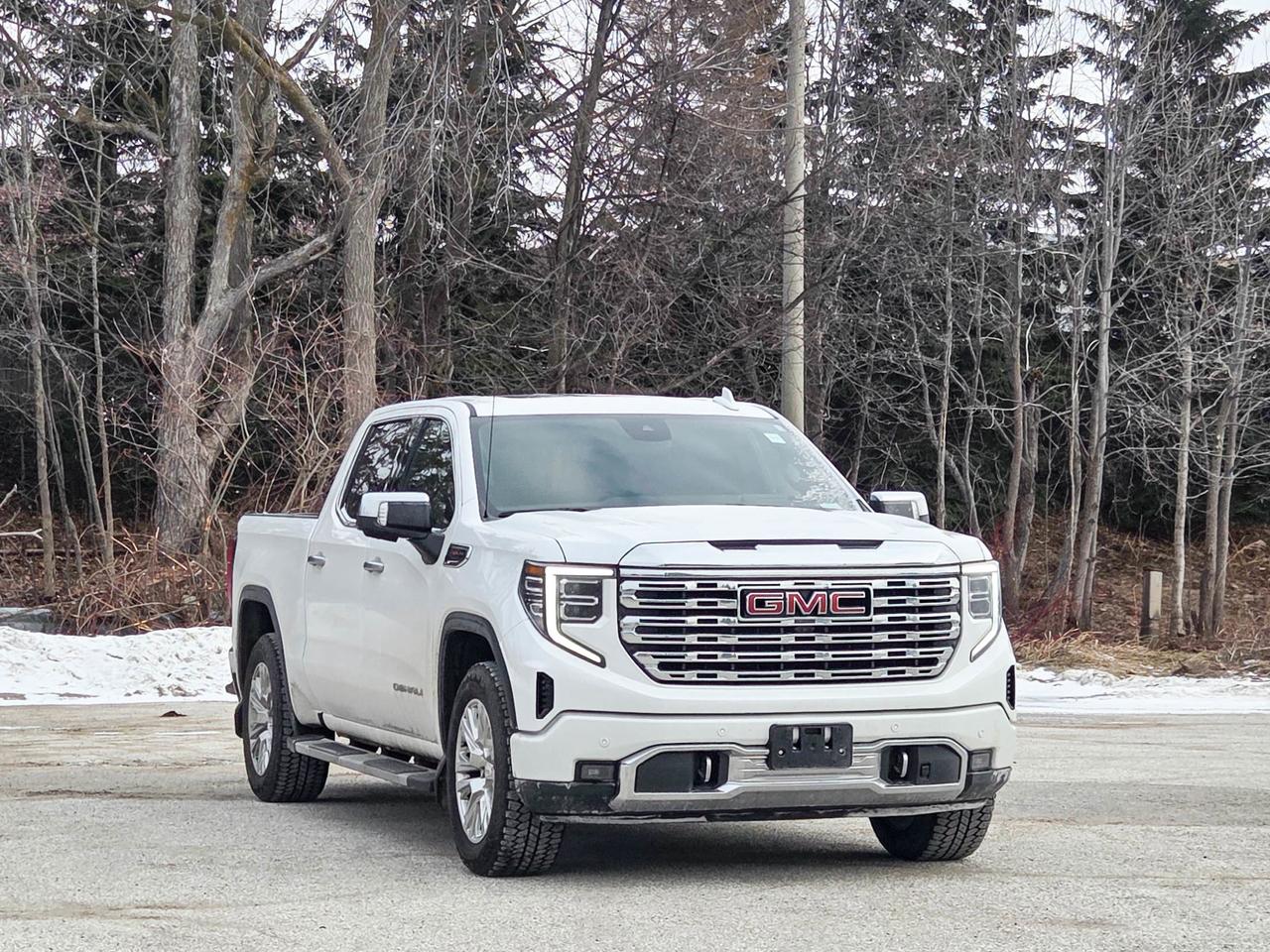 2023 GMC Sierra 1500 Denali Photo3