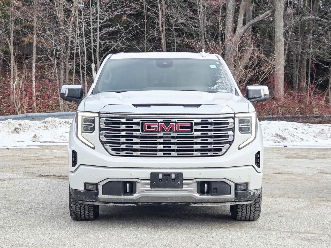 2023 GMC Sierra 1500 Denali Photo4