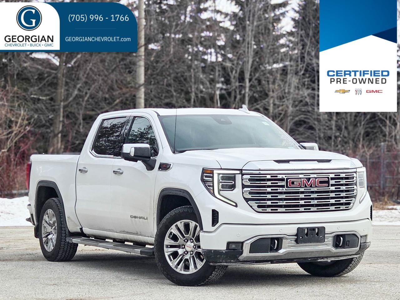 2023 GMC Sierra 1500 Denali Photo0