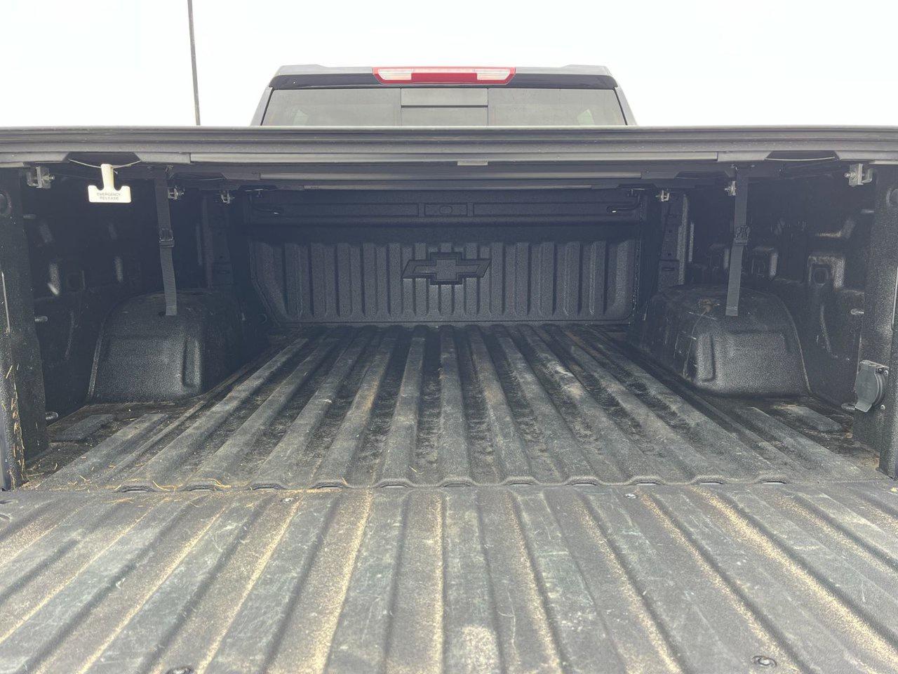 2024 Chevrolet Silverado 1500 4WD Crew Cab 147 RST Photo