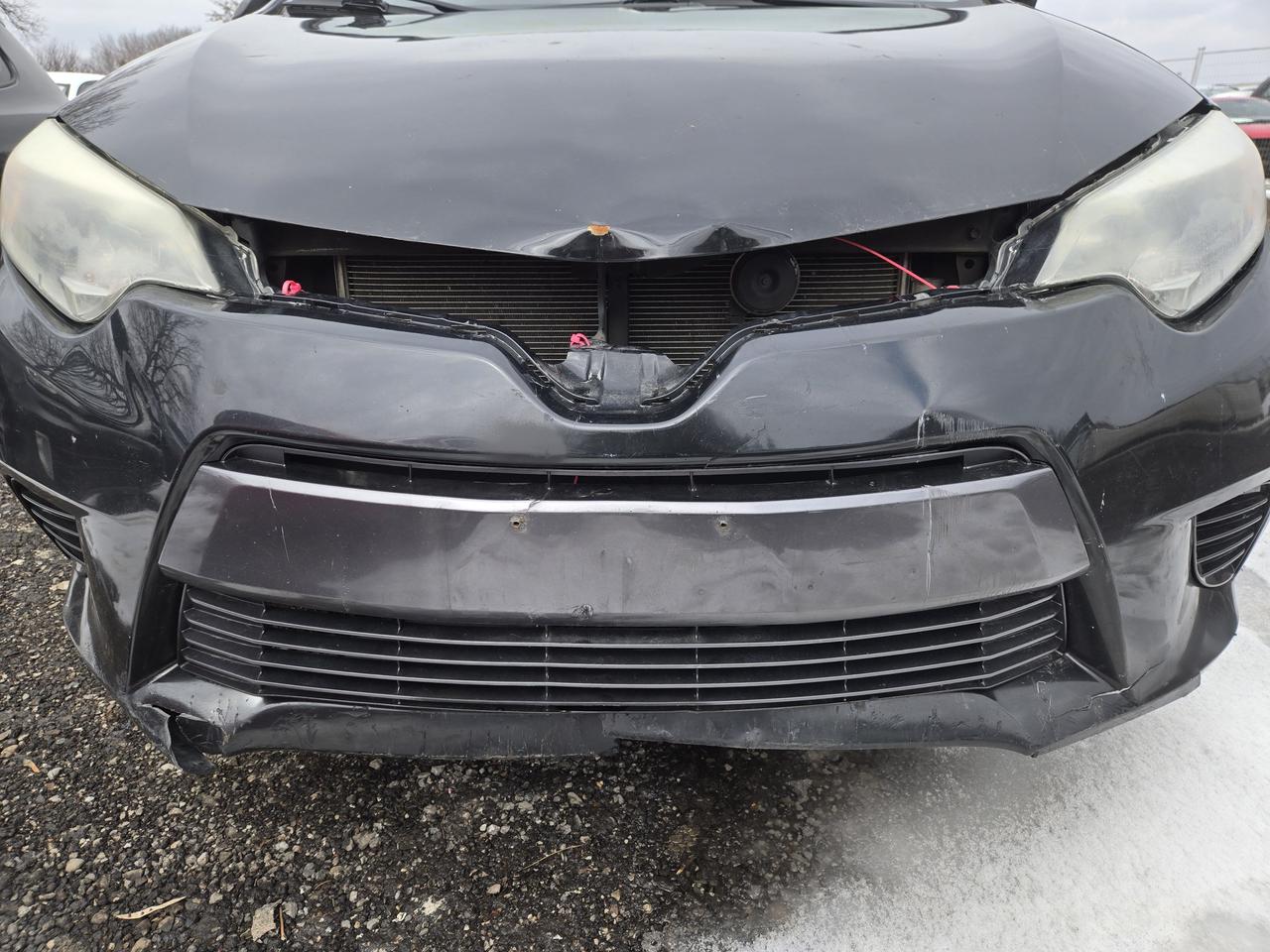 2015 Toyota Corolla LE Photo