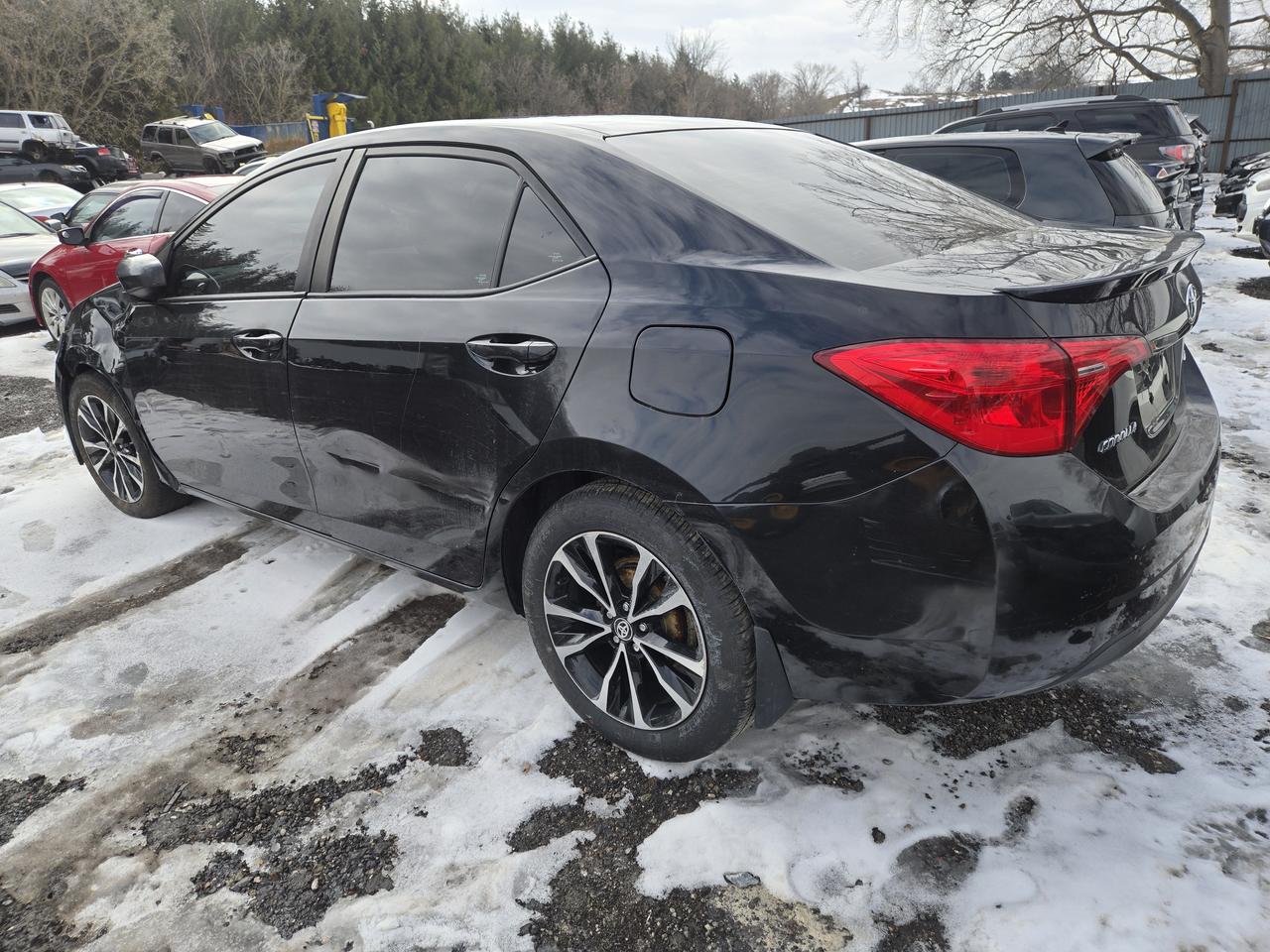 2015 Toyota Corolla LE Photo