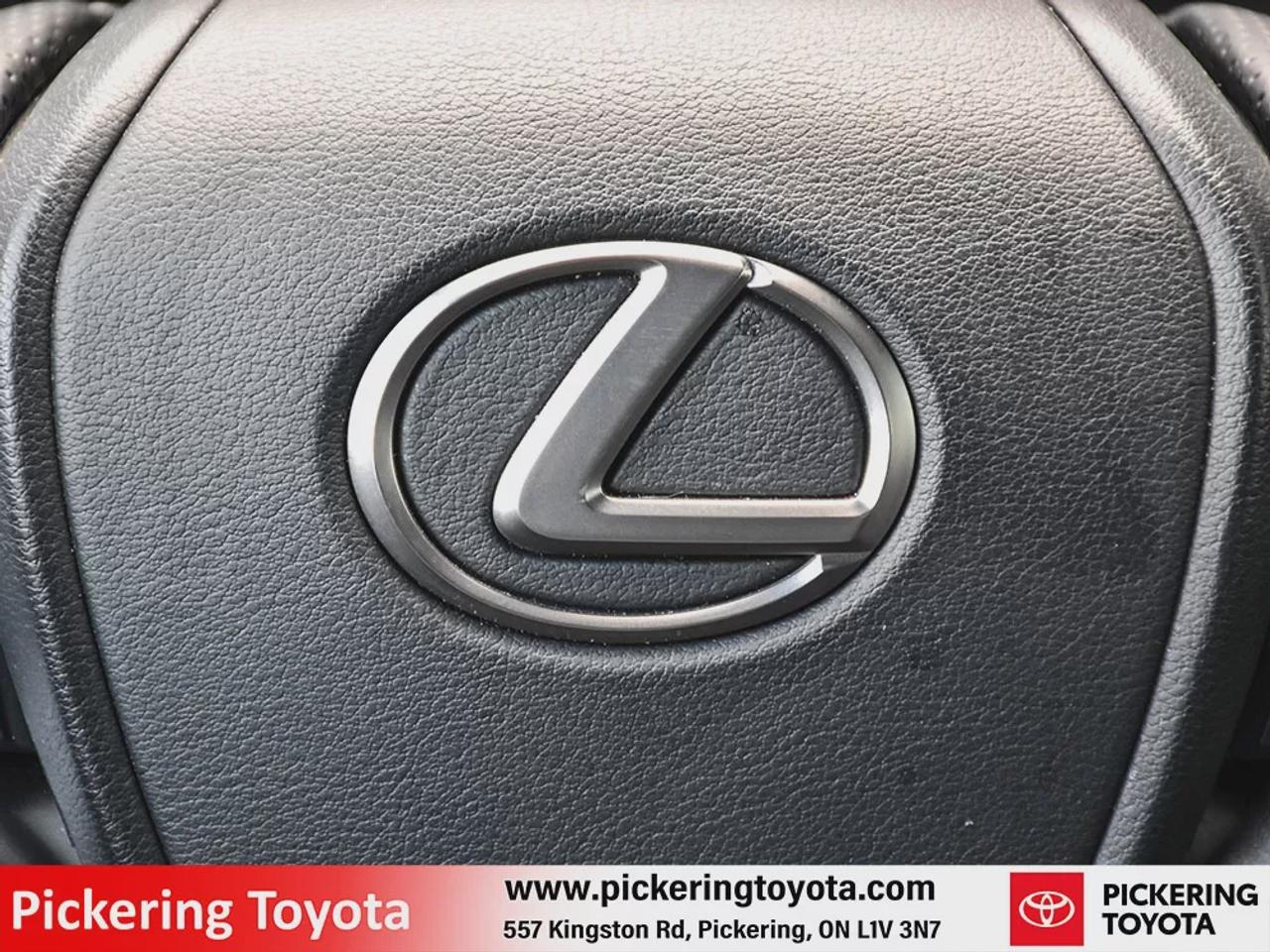 2023 Lexus UX UX 250H Photo