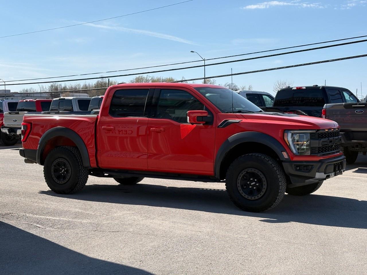 2023 Ford F-150 Raptor 4WD SuperCrew 5.5' Box Photo