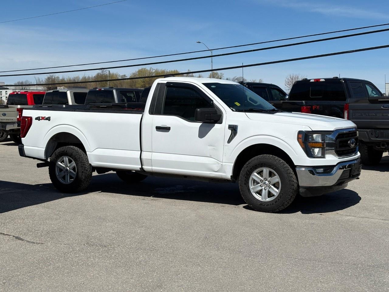 2023 Ford F-150 XLT 4WD Reg Cab 8' Box Photo4