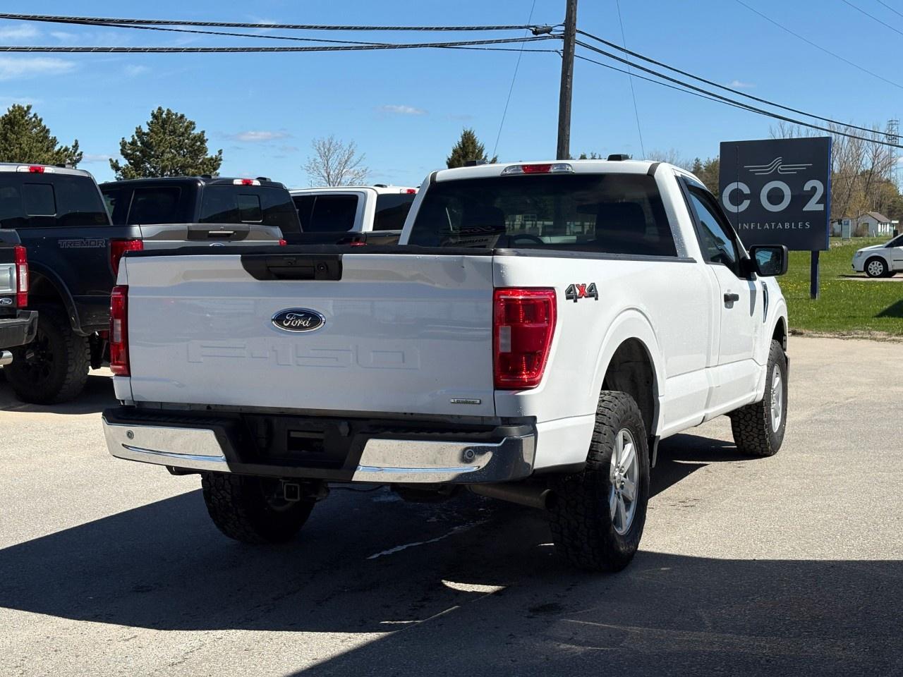2023 Ford F-150 XLT 4WD Reg Cab 8' Box Photo