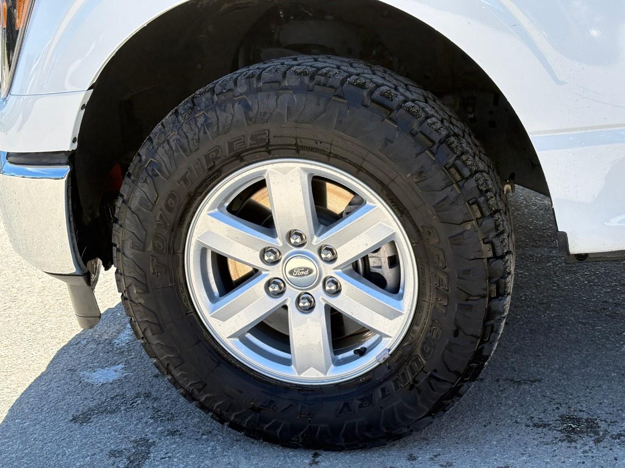 2023 Ford F-150 XLT 4WD Reg Cab 8' Box Photo
