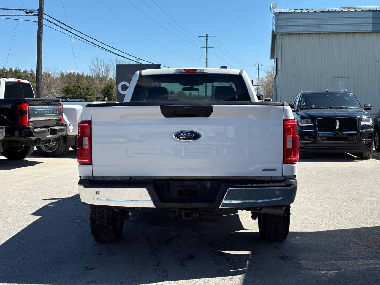 2023 Ford F-150 XLT 4WD Reg Cab 8' Box Photo