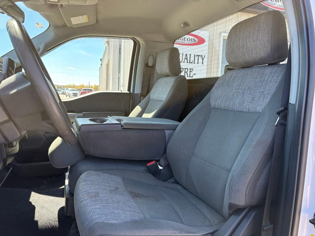 2023 Ford F-150 XLT 4WD Reg Cab 8' Box Photo