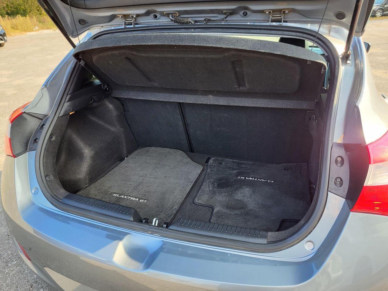2014 Hyundai Elantra GT 5dr HB Auto SE Photo