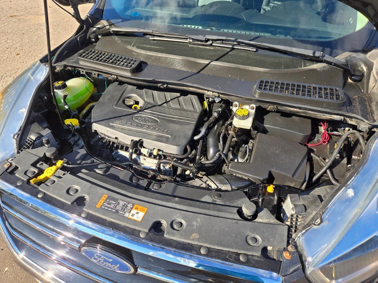 2017 Ford Escape FWD 4dr SE Photo