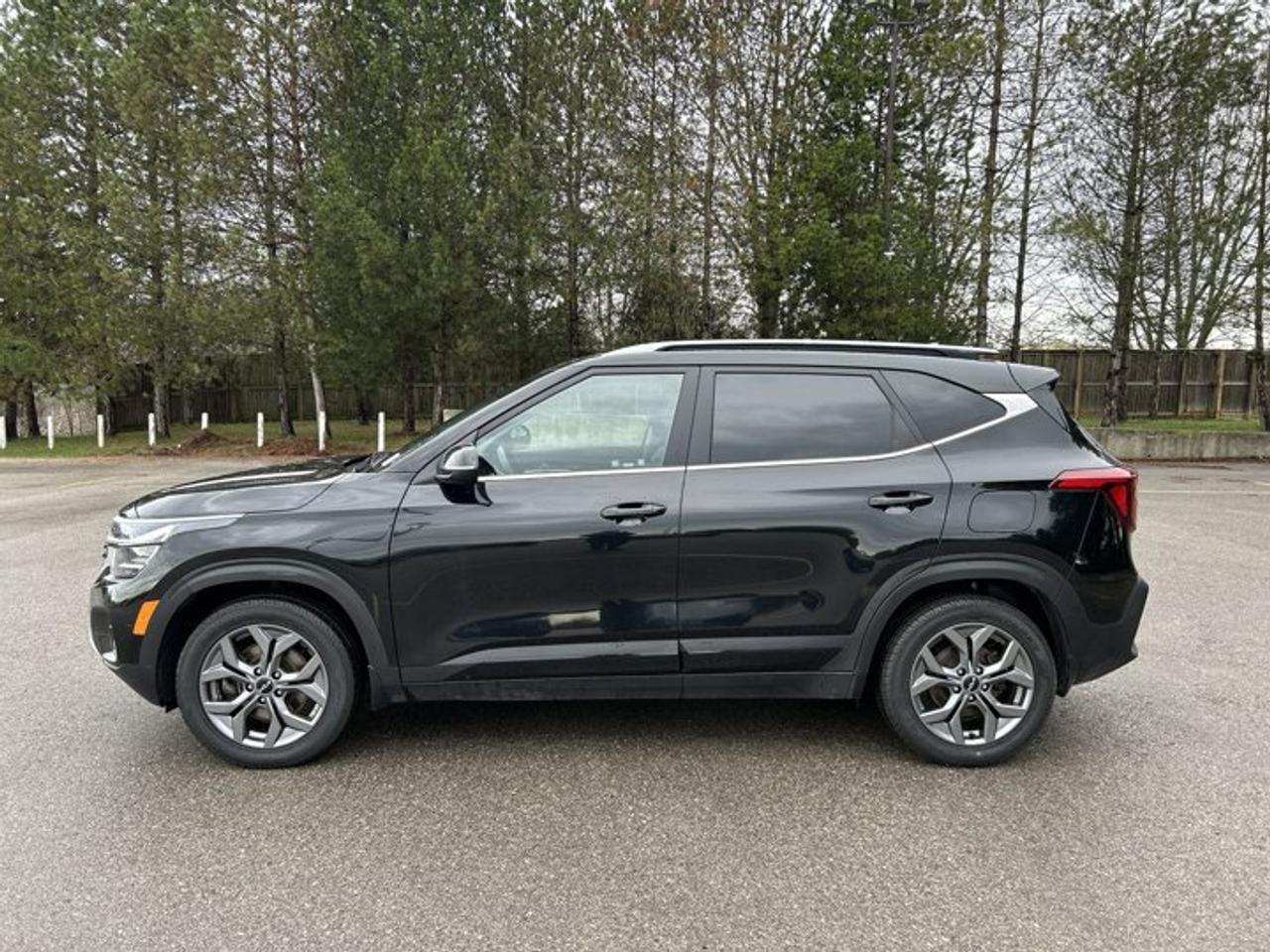 2024 Kia Seltos EX AWD | One Owner | Leather Seats | Heated Steering Wheel Photo