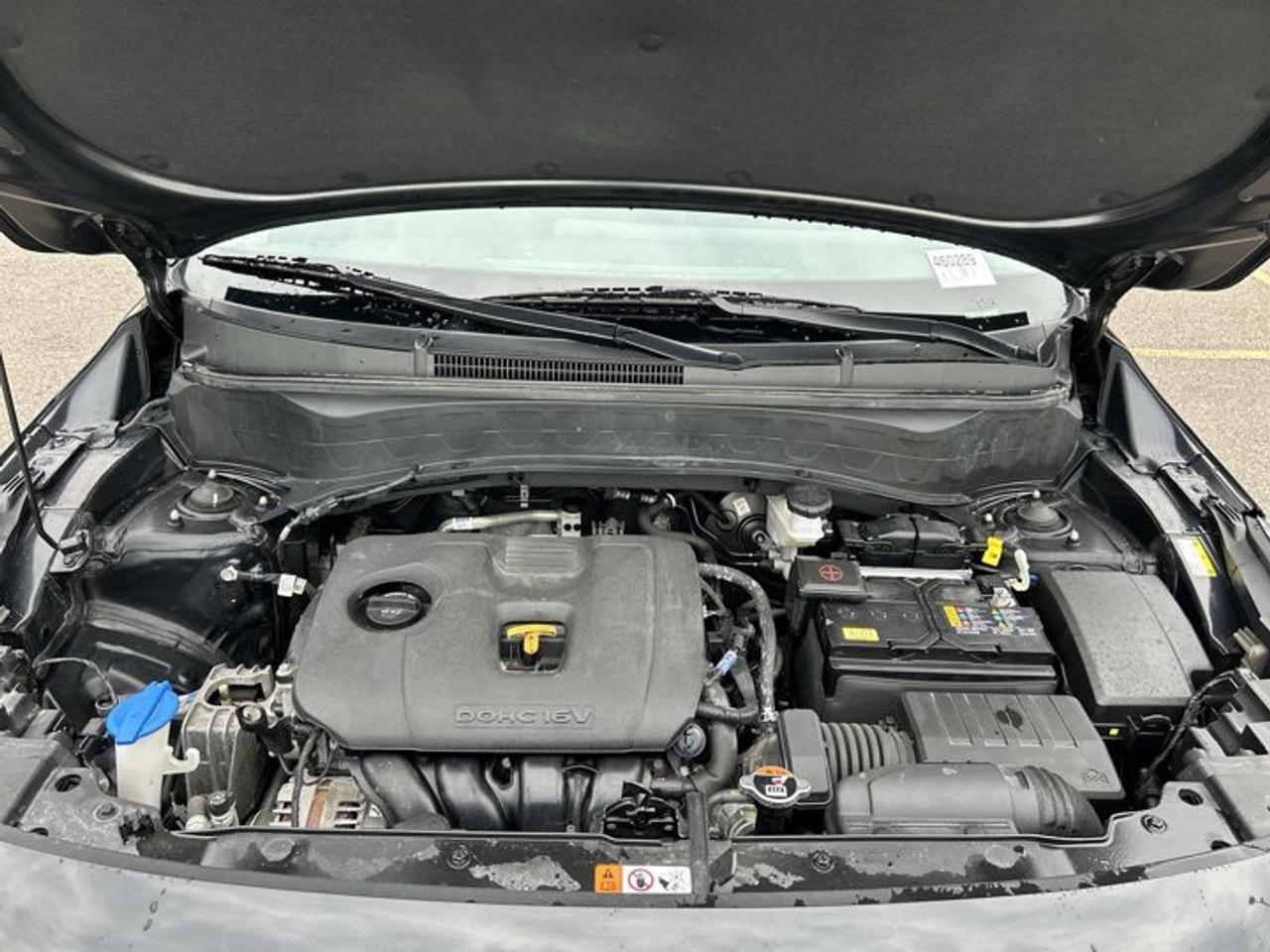 2024 Kia Seltos EX AWD | One Owner | Leather Seats | Heated Steering Wheel Photo