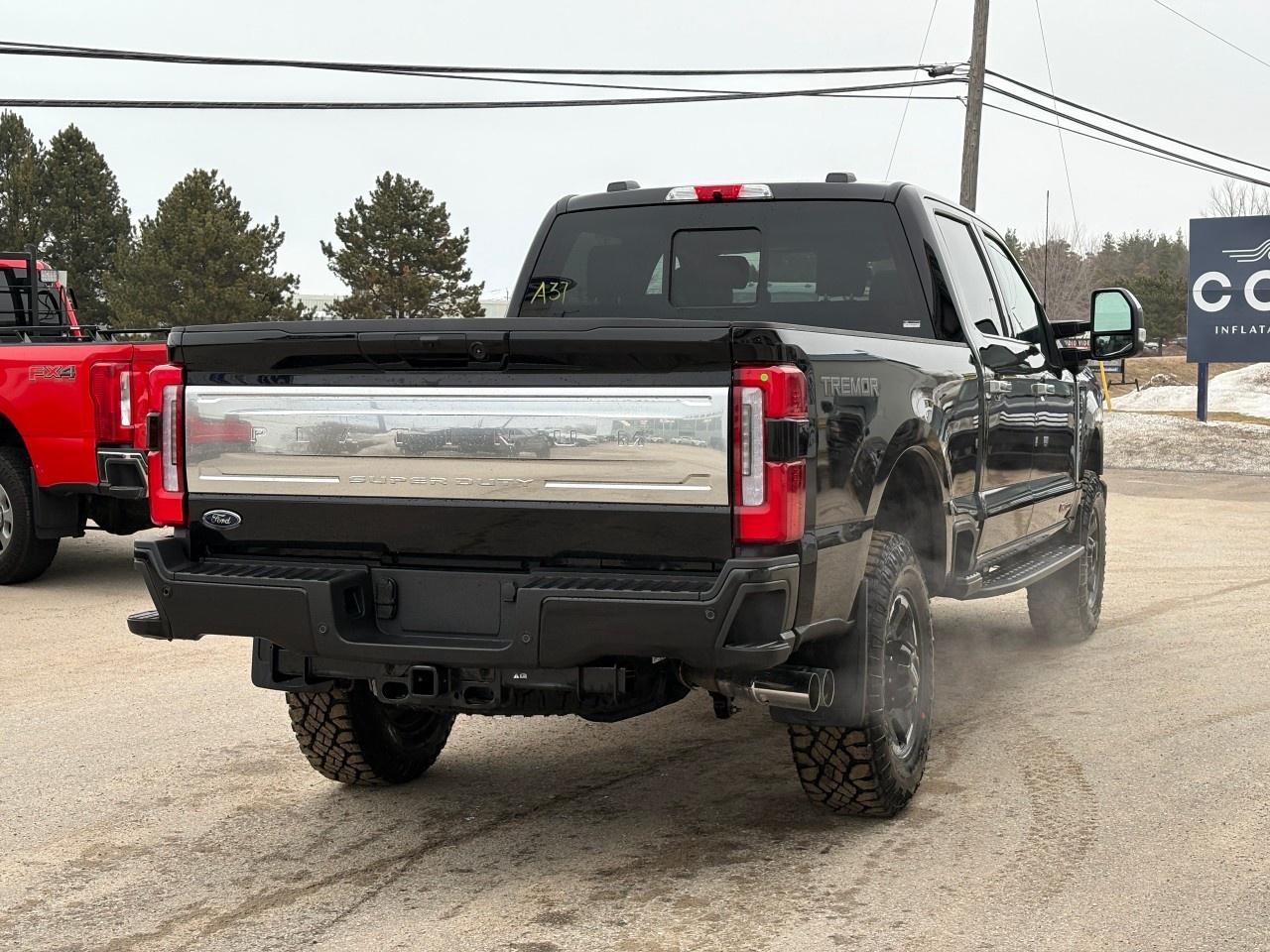 2026 Ford F-250 Super Duty SRW PLATINUM 4WD CREW CAB 6.75' BOX Photo