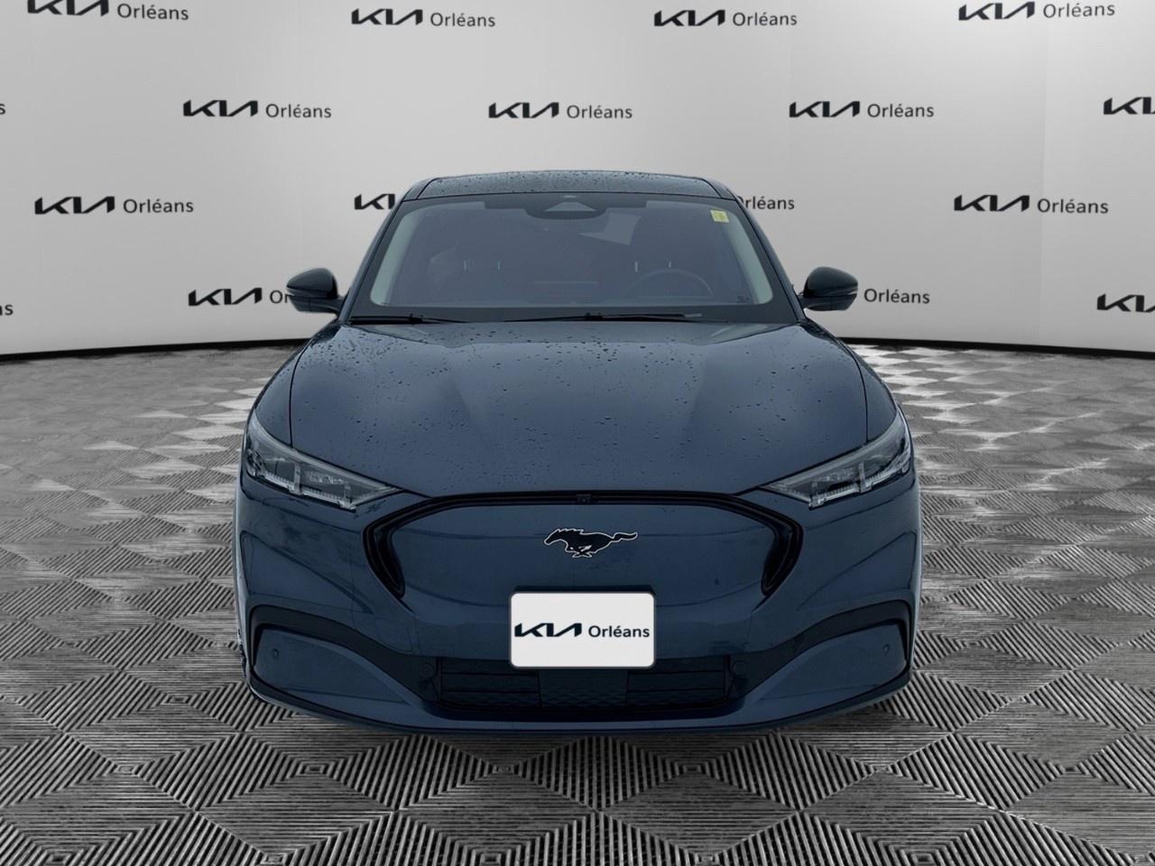 2021 Ford Mustang Mach-E Premium AWD Photo