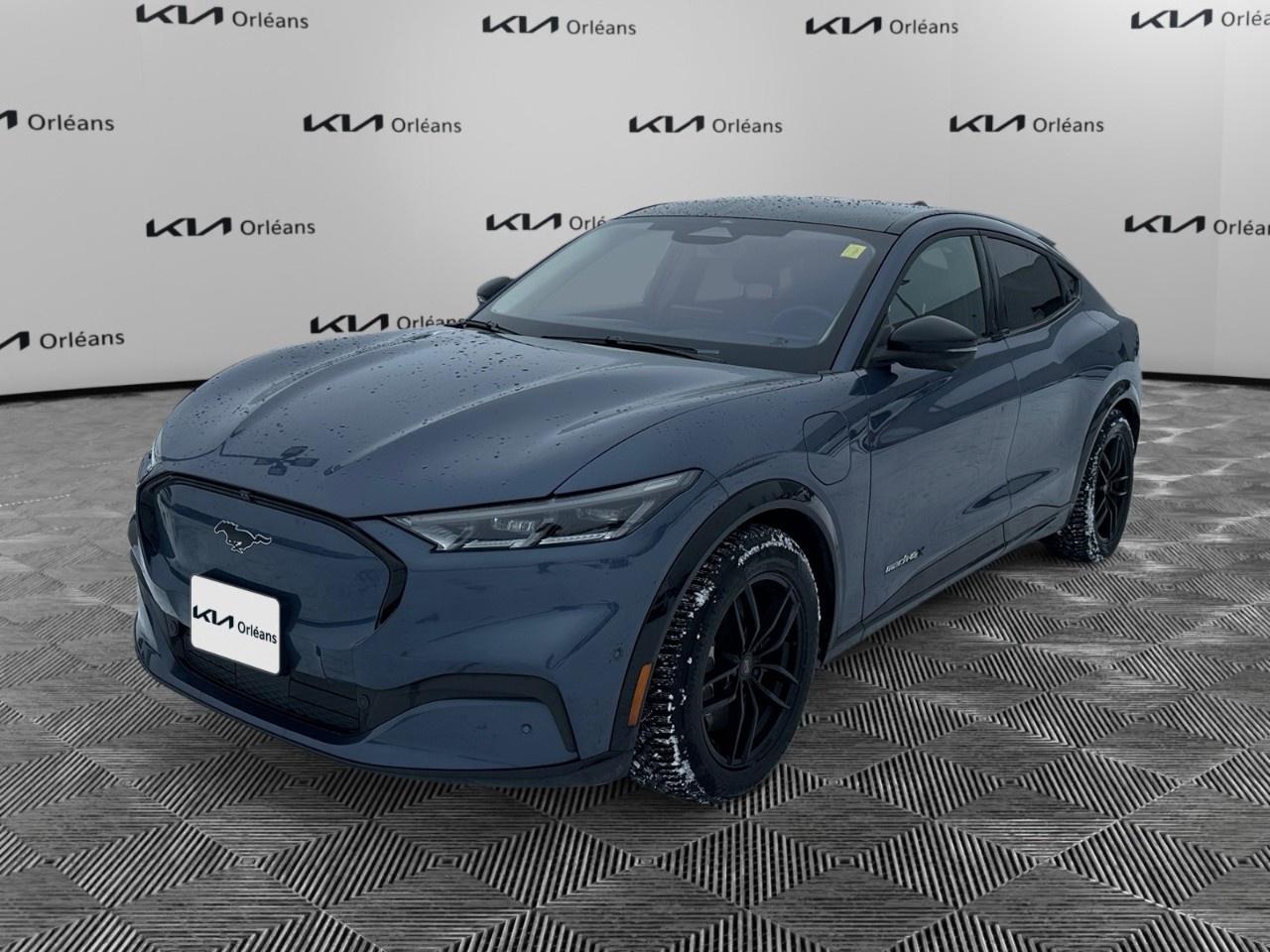 2021 Ford Mustang Mach-E Premium AWD Photo0