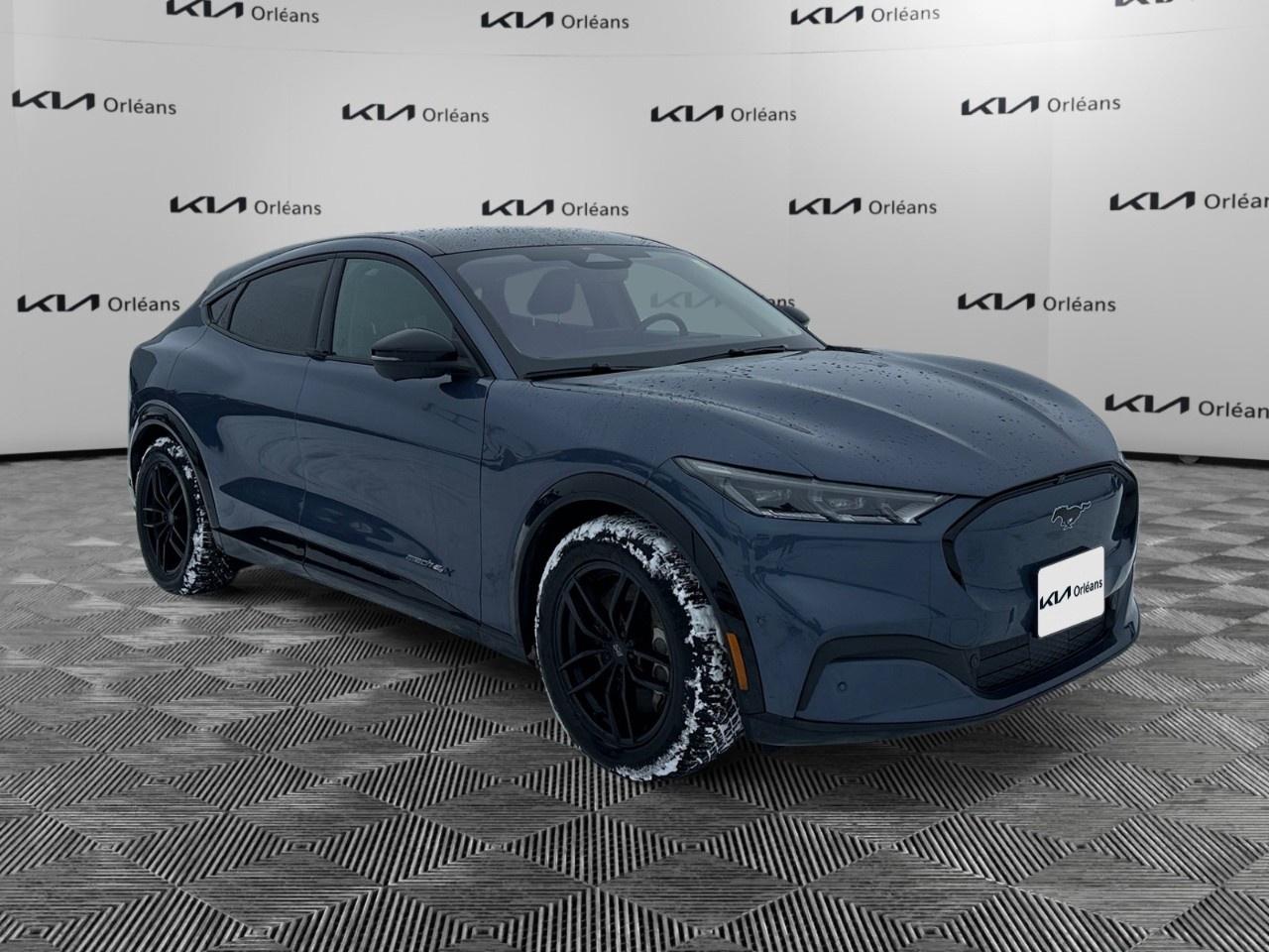 2021 Ford Mustang Mach-E Premium AWD Photo