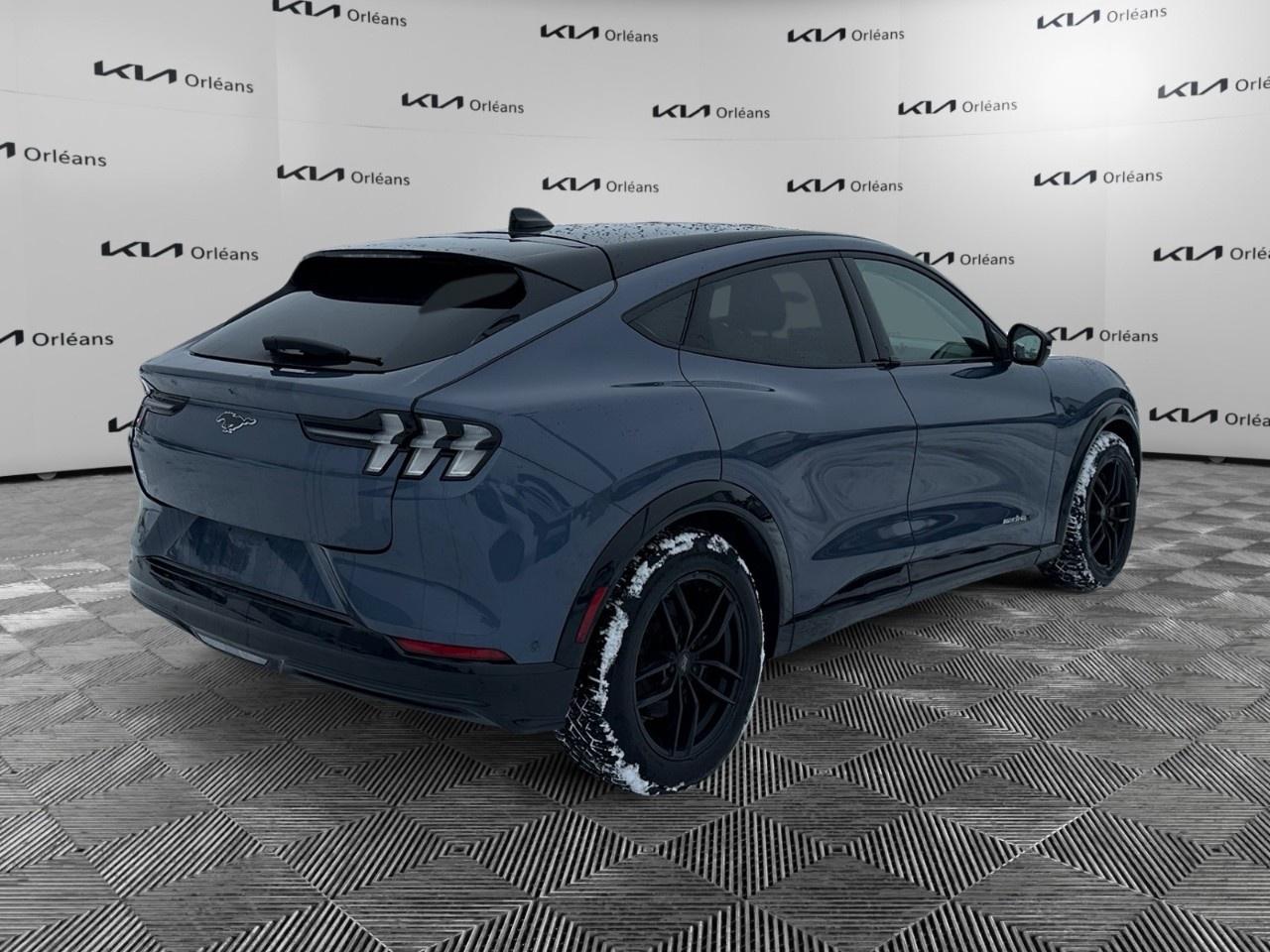 2021 Ford Mustang Mach-E Premium AWD Photo