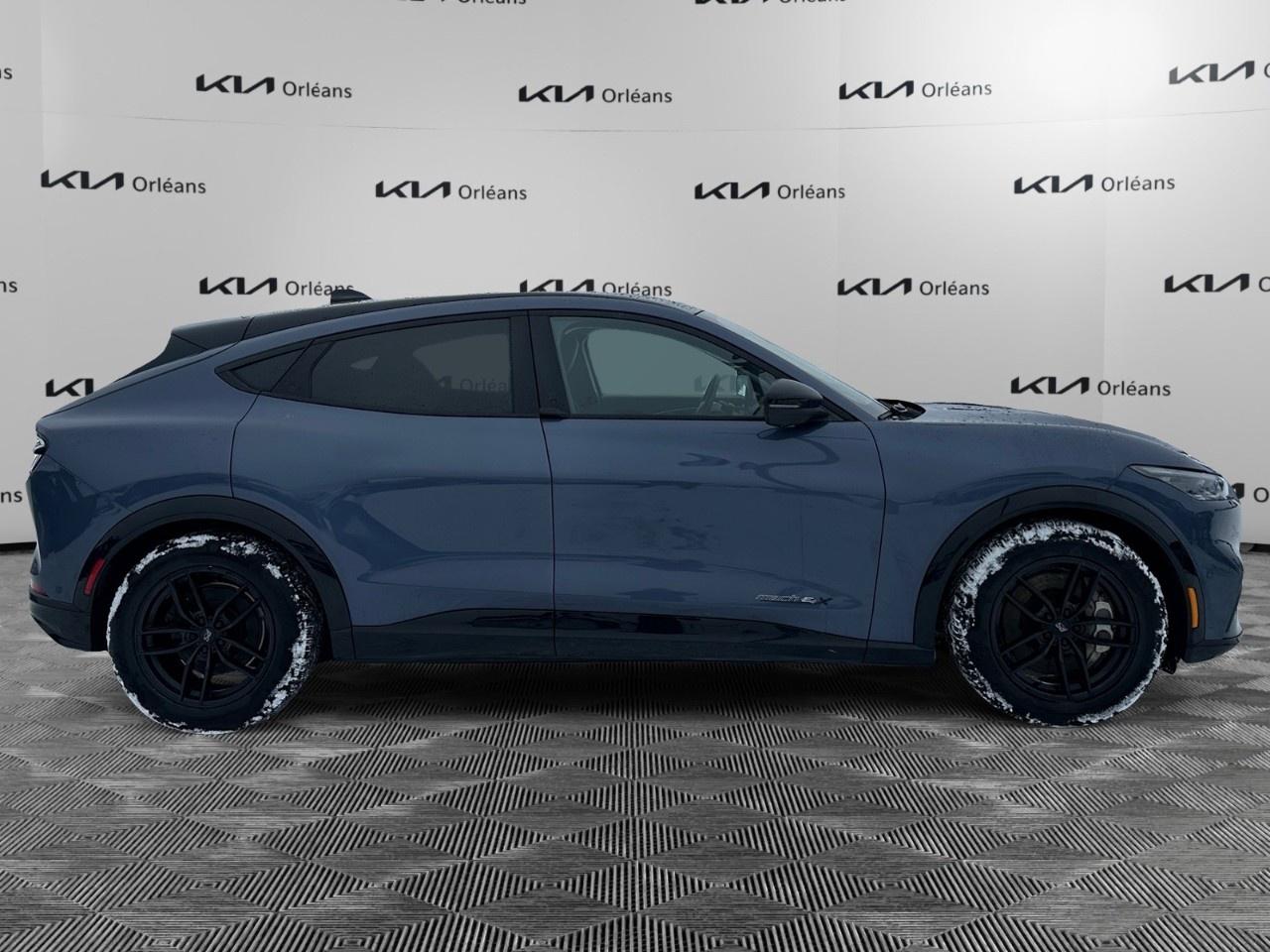 2021 Ford Mustang Mach-E Premium AWD Photo