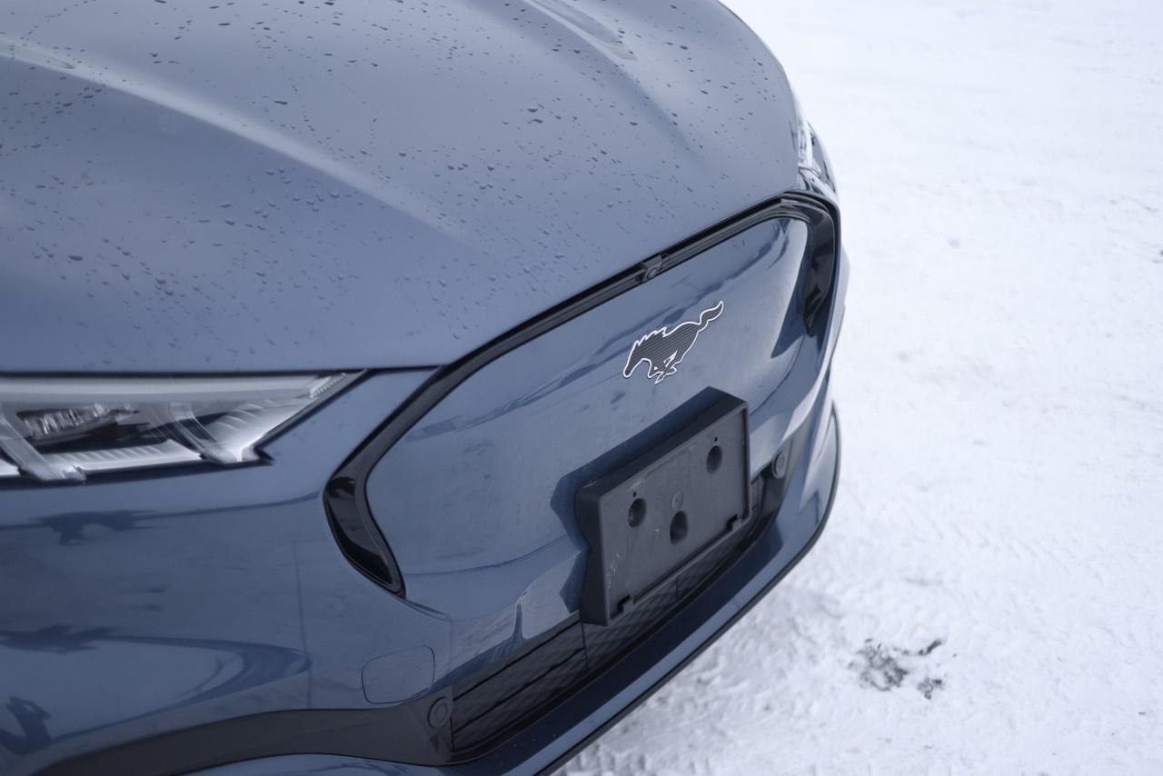 2021 Ford Mustang Mach-E Premium AWD Photo