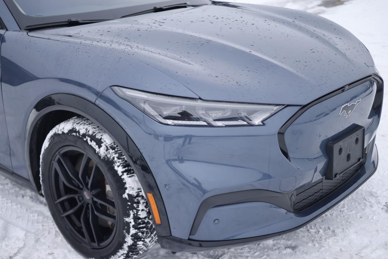 2021 Ford Mustang Mach-E Premium AWD Photo