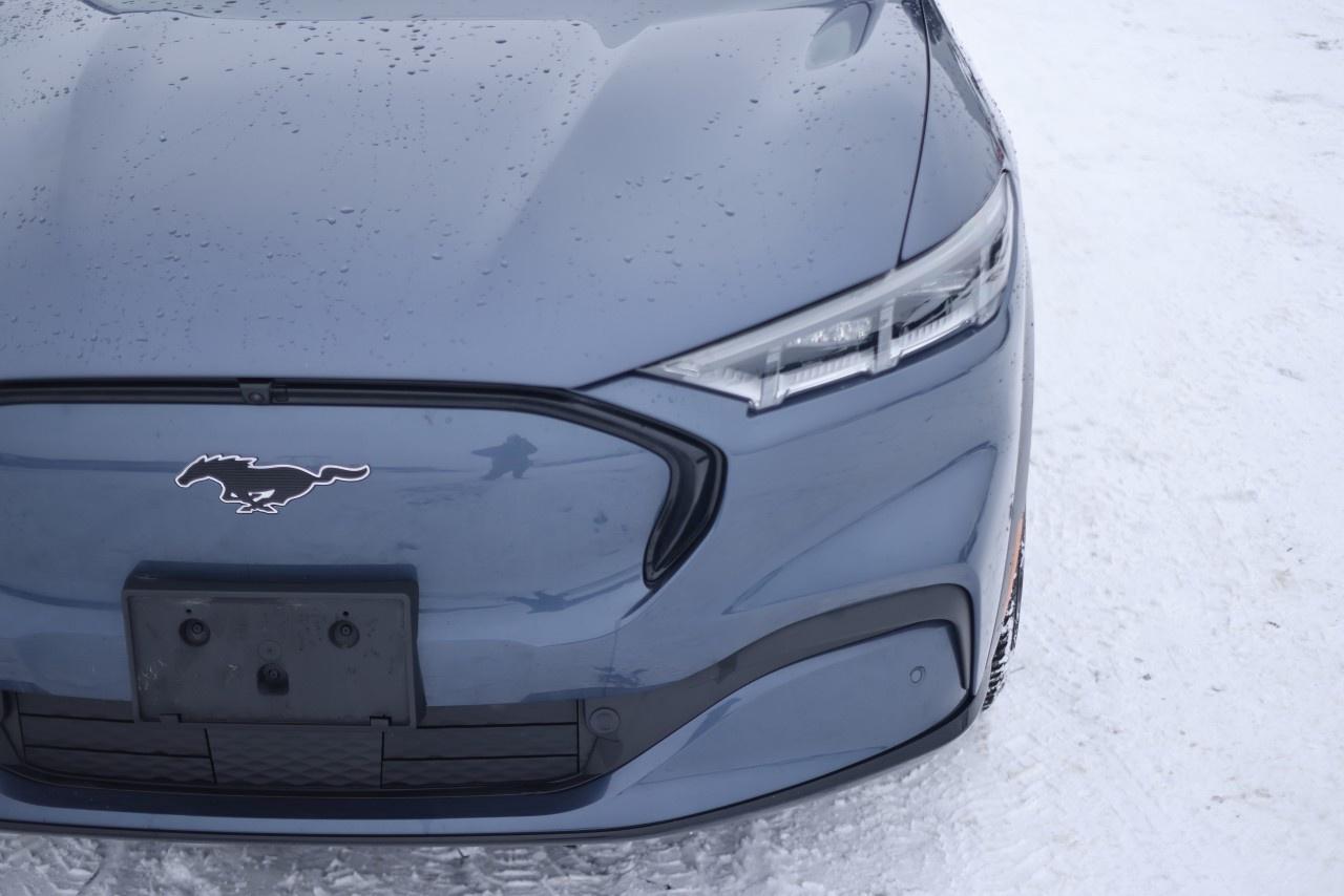 2021 Ford Mustang Mach-E Premium AWD Photo