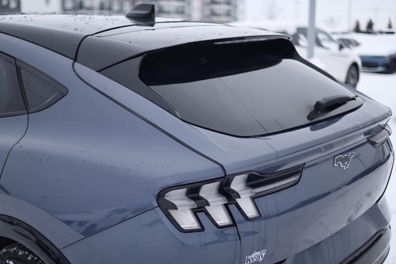 2021 Ford Mustang Mach-E Premium AWD Photo