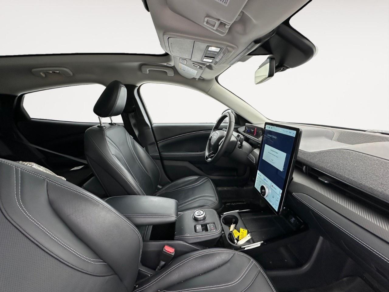 2021 Ford Mustang Mach-E Premium AWD Photo