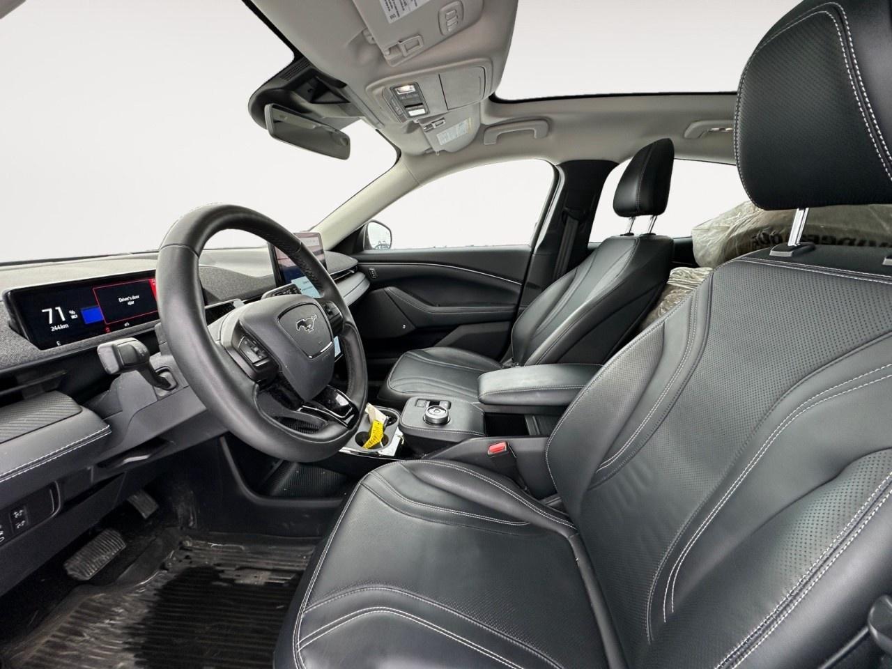 2021 Ford Mustang Mach-E Premium AWD Photo