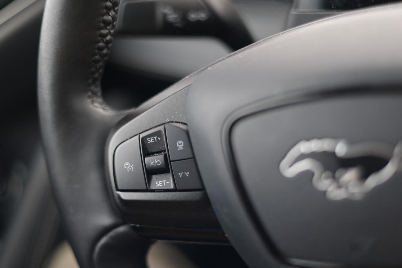 2021 Ford Mustang Mach-E Premium AWD Photo