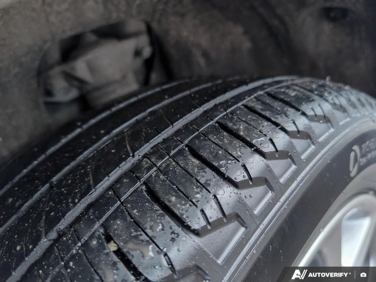 2019 Kia Sorento  Photo