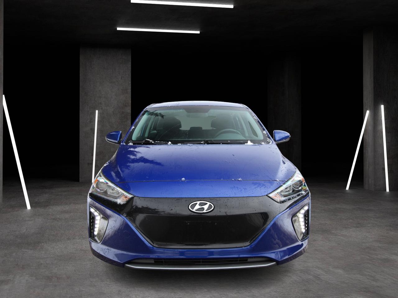 2019 Hyundai Ioniq Electric Limited Photo
