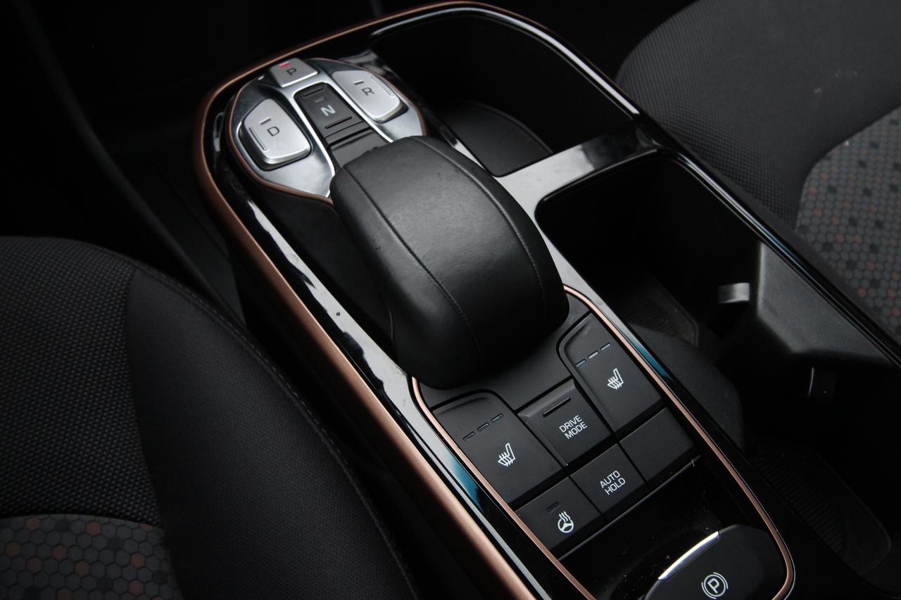 2019 Hyundai Ioniq Electric Limited Photo