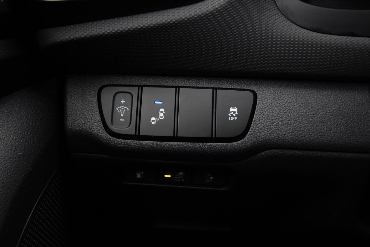 2019 Hyundai Ioniq Electric Limited Photo